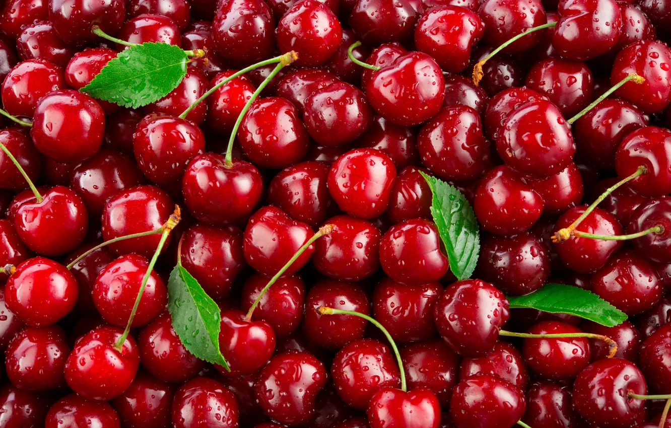 Фото обои berry, fresh, food, cherry, closeup, cherry background