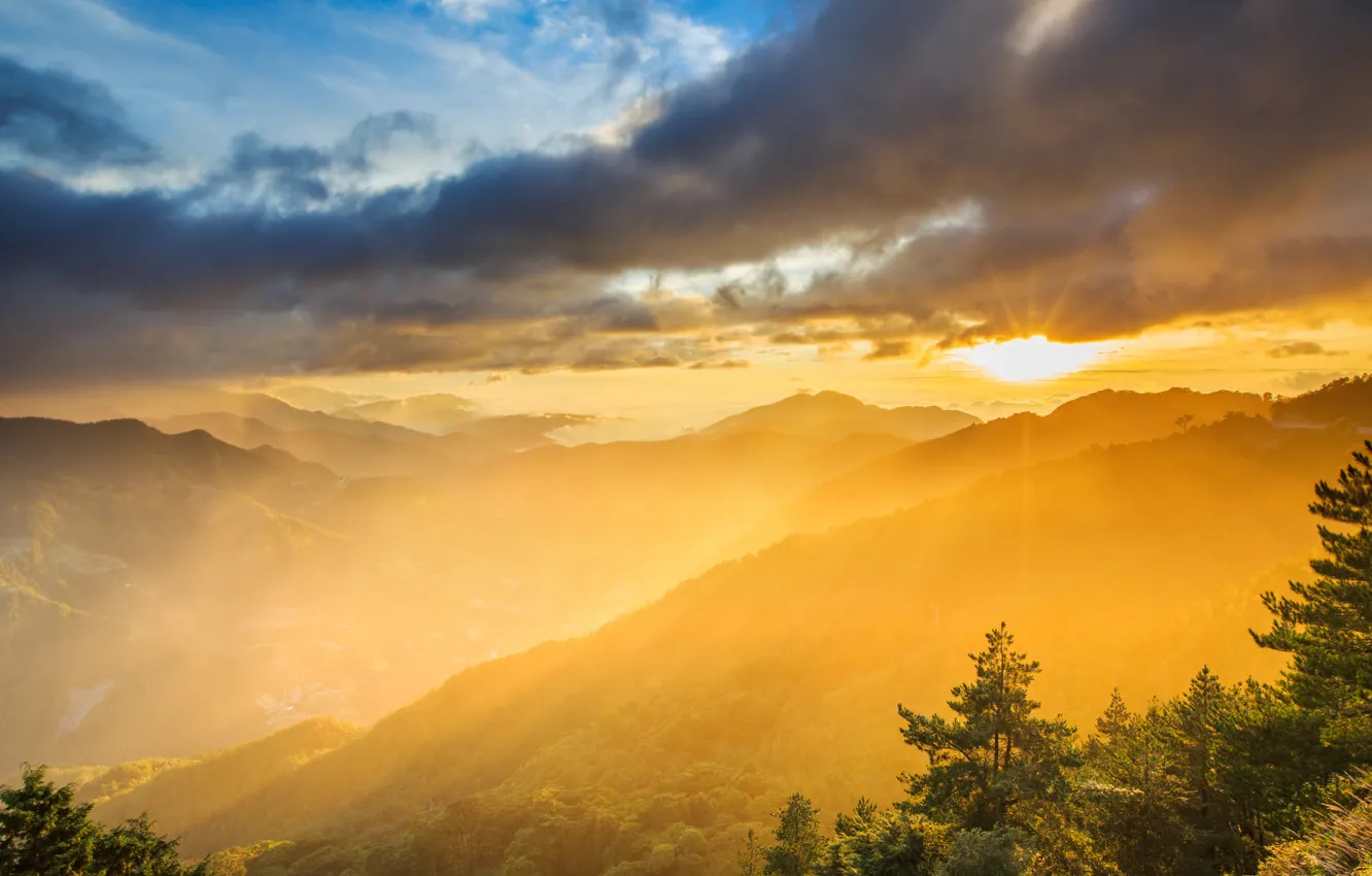 Фото обои лес, горы, рассвет, дымка, Taroko National Park