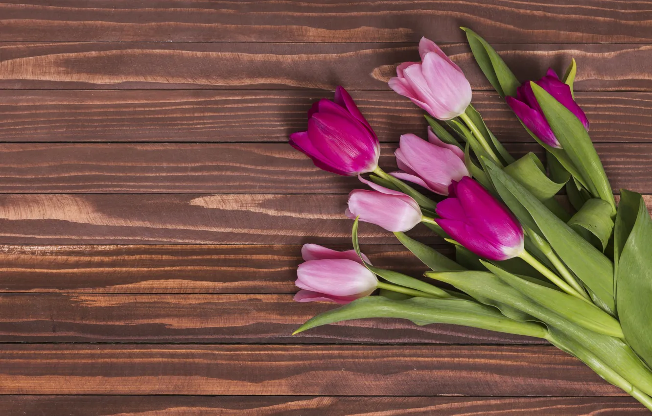 Фото обои цветы, colorful, тюльпаны, розовые, wood, pink, flowers, tulips