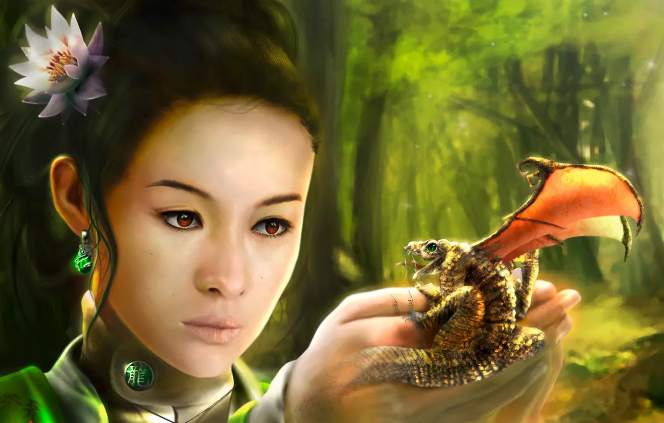 Фото обои дракон, азиатка, Christian Suhr, ладошки