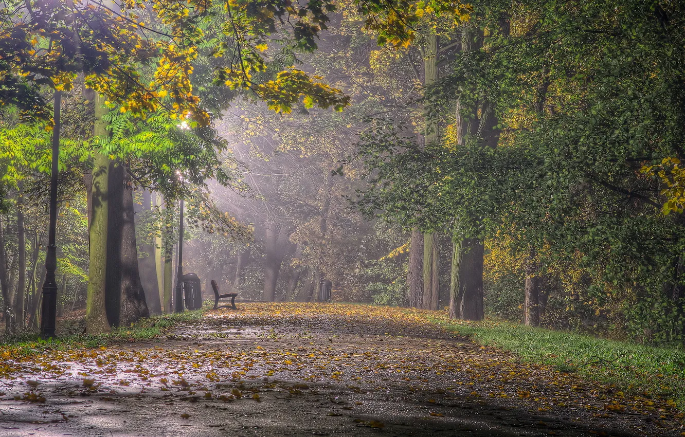 Фото обои город, парк, скамья