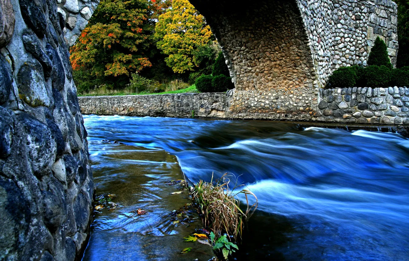 Фото обои осень, деревья, мост, парк, река, поток