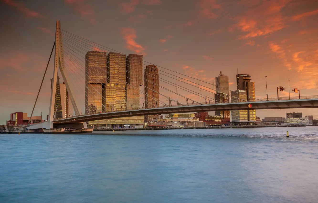 Фото обои мост, город, вечер, Rotterdam