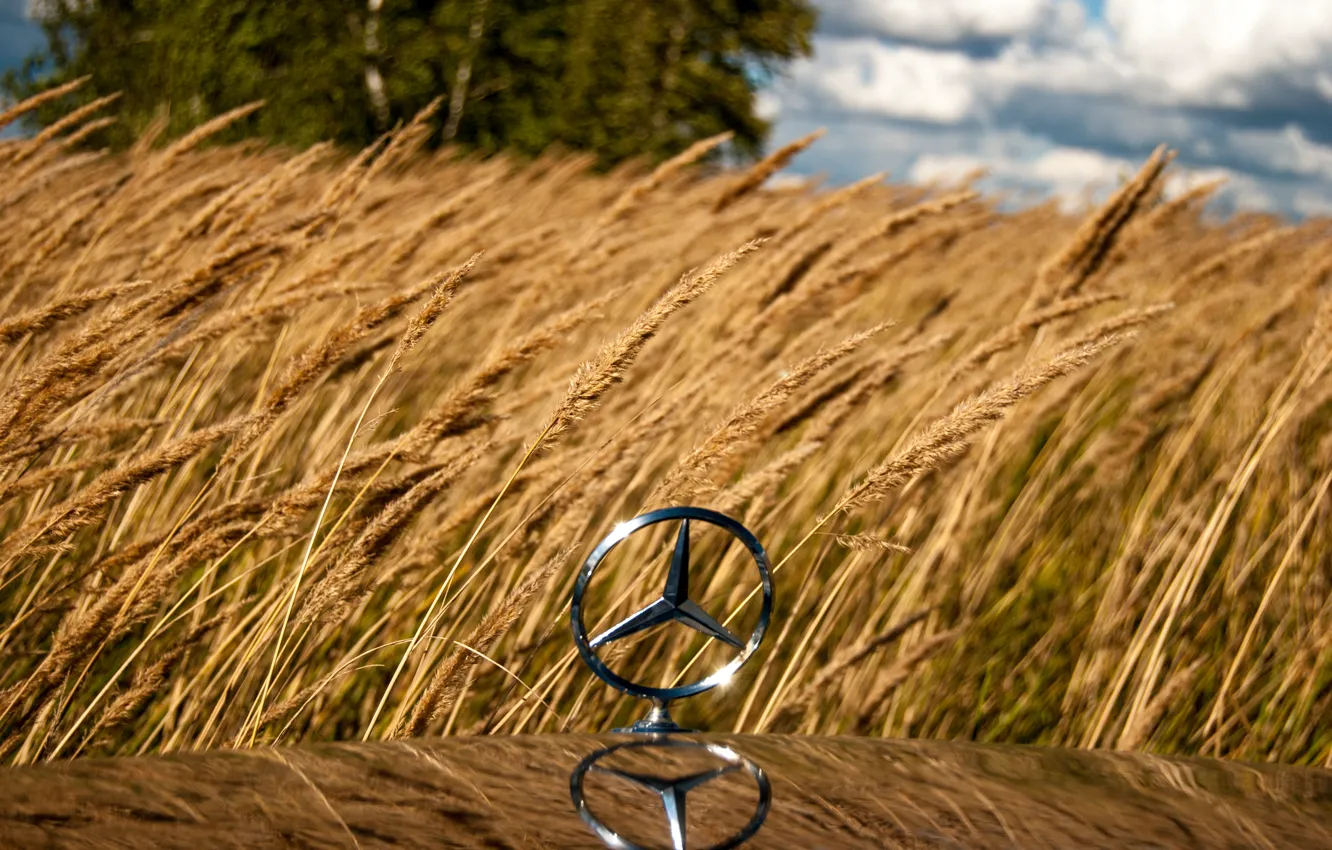 Фото обои пшеница, поле, значок, колос, рожь, mercedes, mercedes-benz, мерседес
