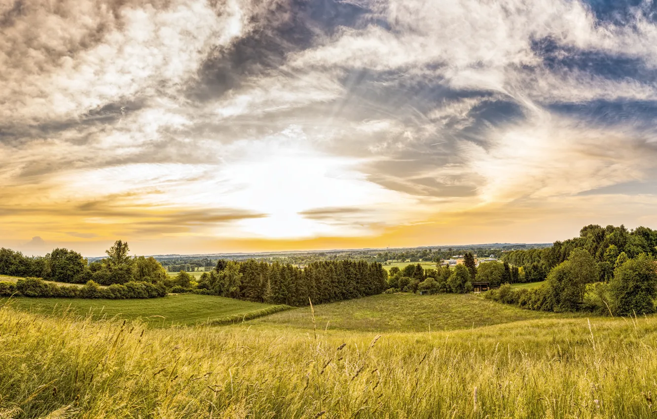 Фото обои поле, лето, небо, трава, солнце, облака, свет, деревья