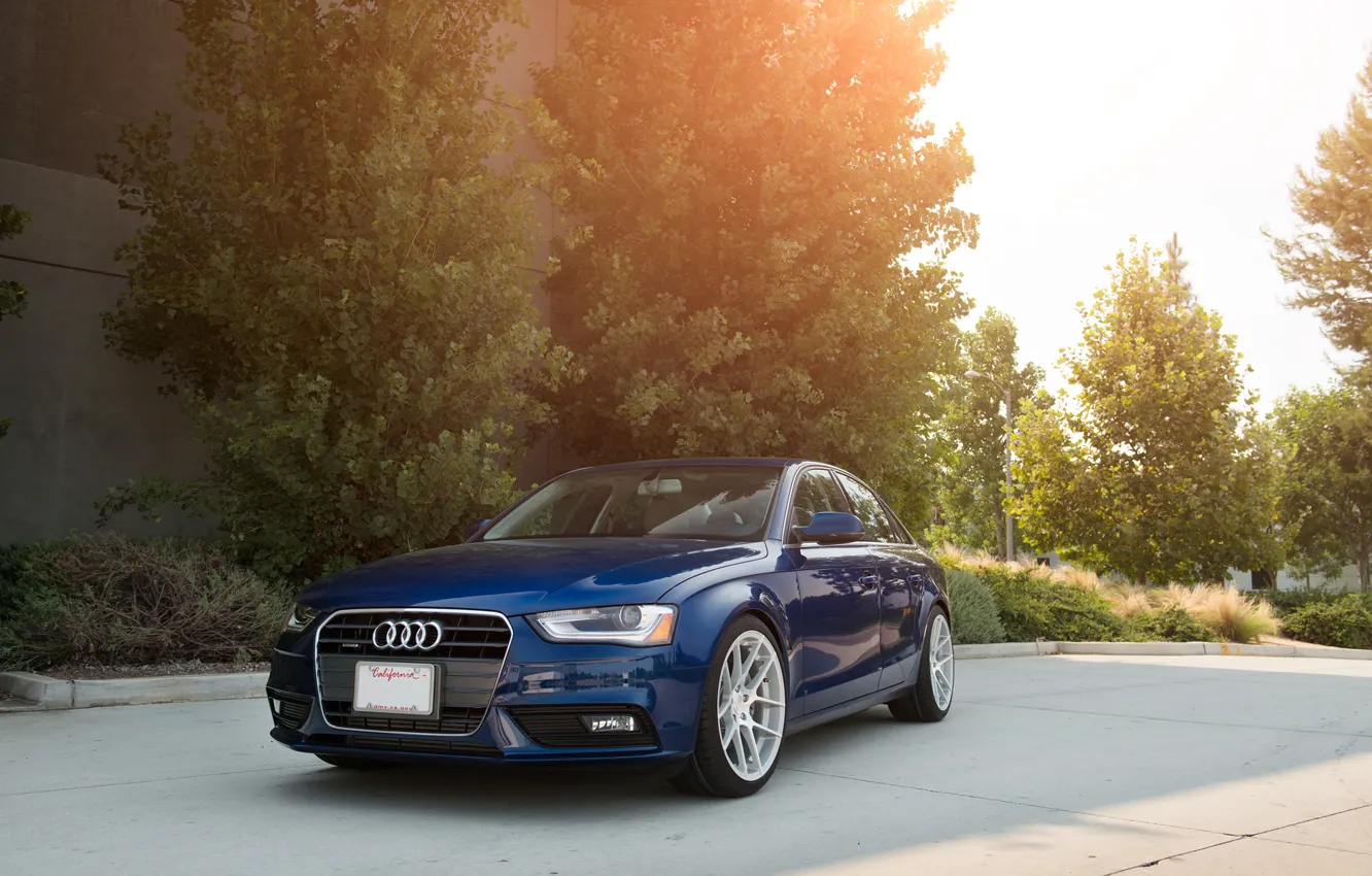 Фото обои Audi, ауди, перед, синяя, blue