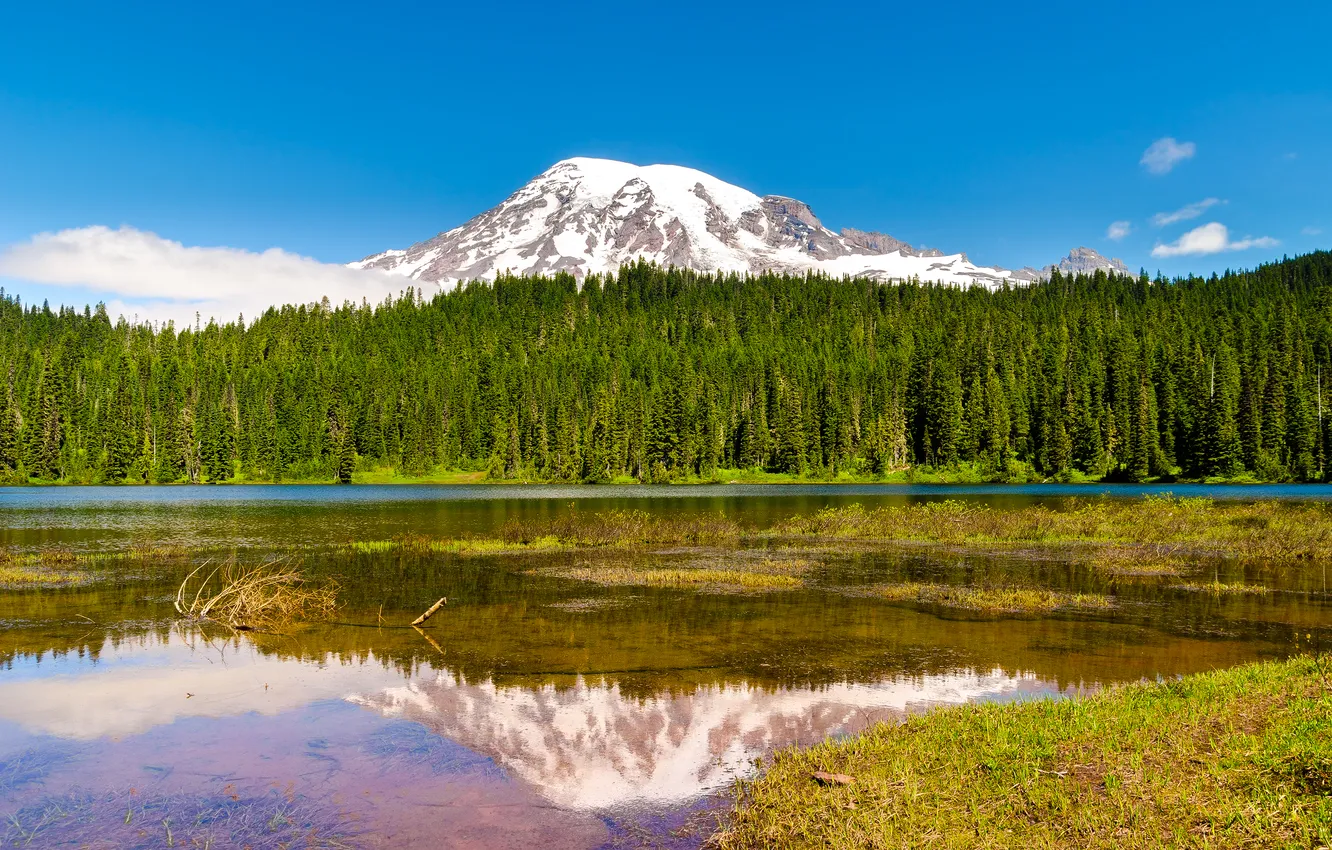 Фото обои лес, деревья, природа, озеро, гора, вулкан, USA, Washington