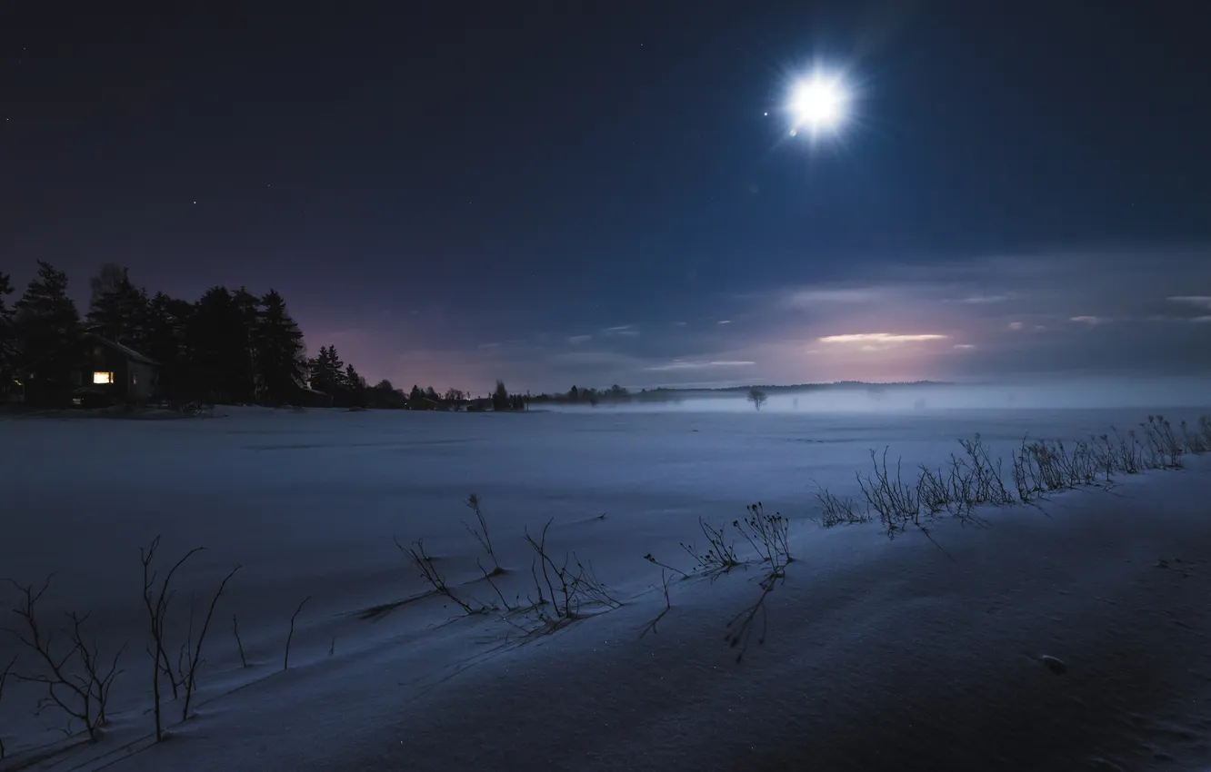 Фото обои зима, поле, снег, ночь