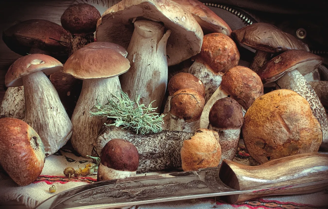Фото обои осень, грибы, еда, нож