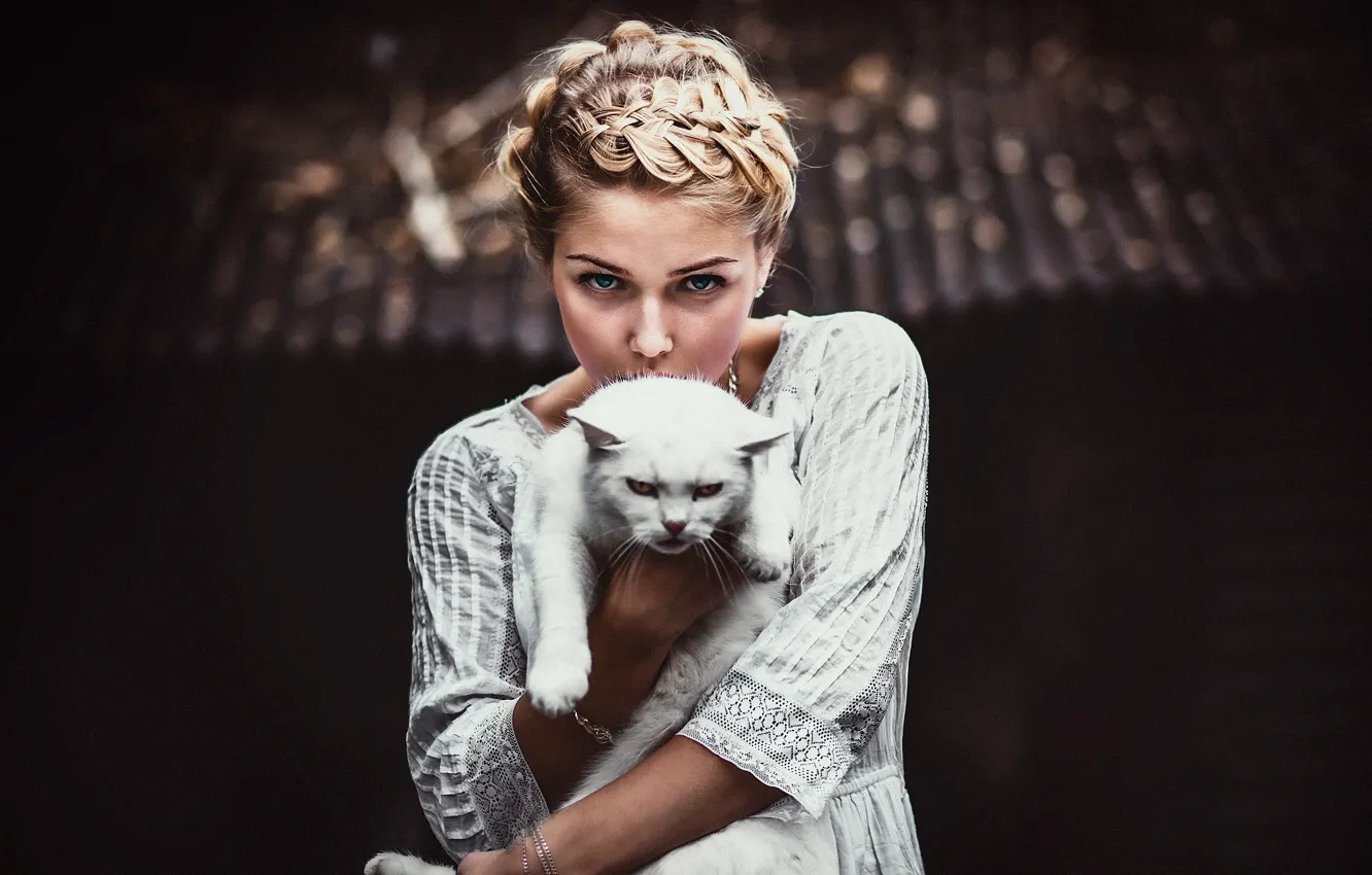 Фото обои кот, взгляд, девушка, Anton Nozdrevatyh