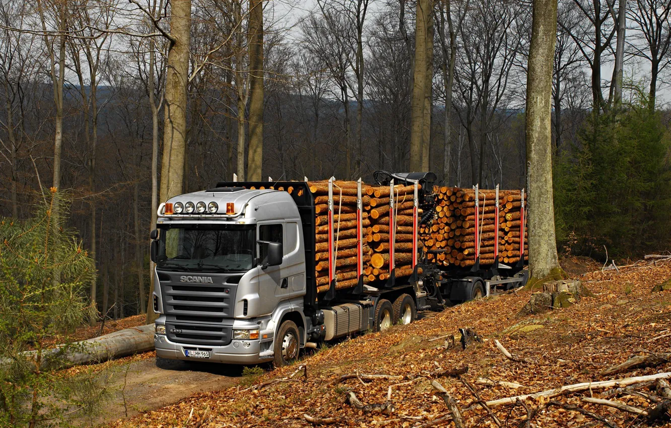 Фото обои лес, природа, грузовик, Scania R470, лесовоз