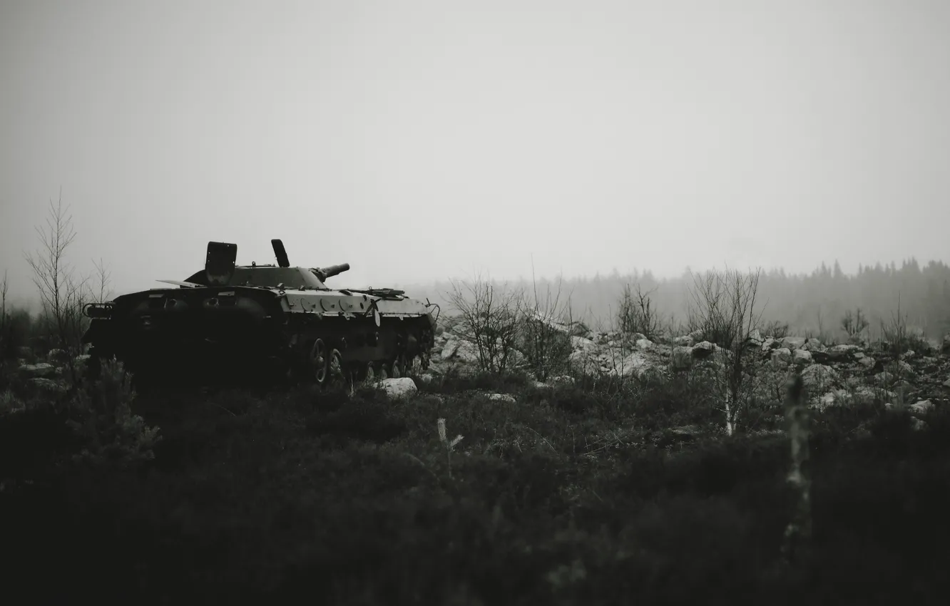 Фото обои война, танк, piece in peace