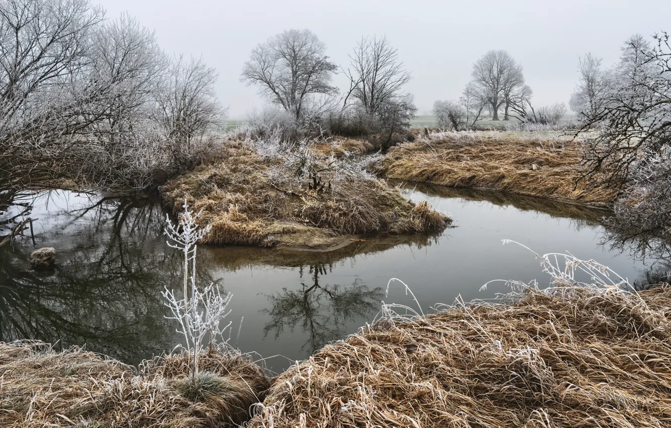 Фото обои зима, природа, река