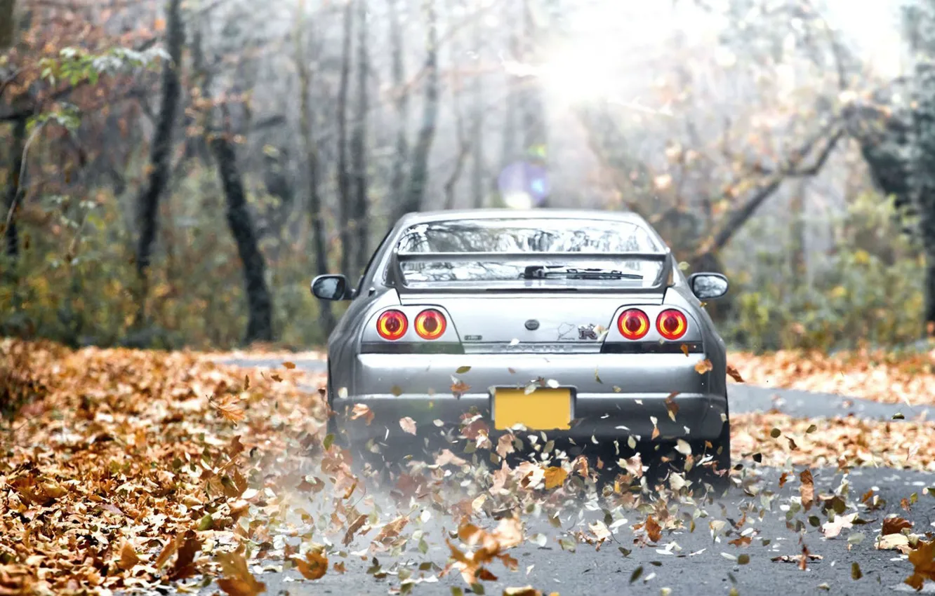 Фото обои Солнце, Осень, Машина, Ниссан, Desktop, Japan, Nissan, GT-R