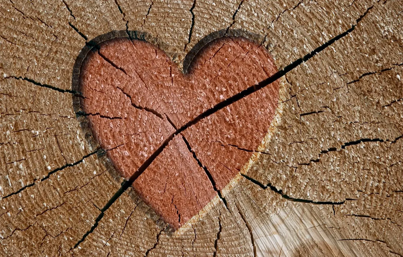 Фото обои трещины, дерево, сердце
