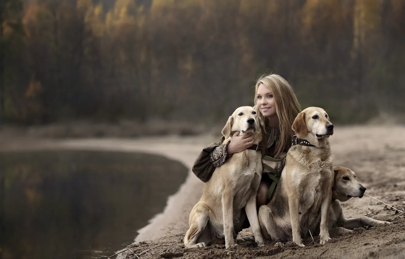 Фото обои собаки, девушка, настроение