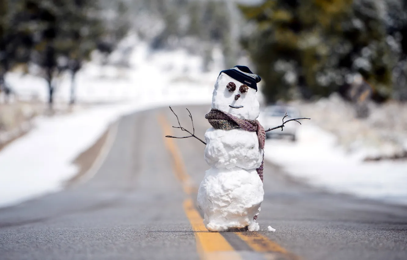 Фото обои зима, дорога, снеговик