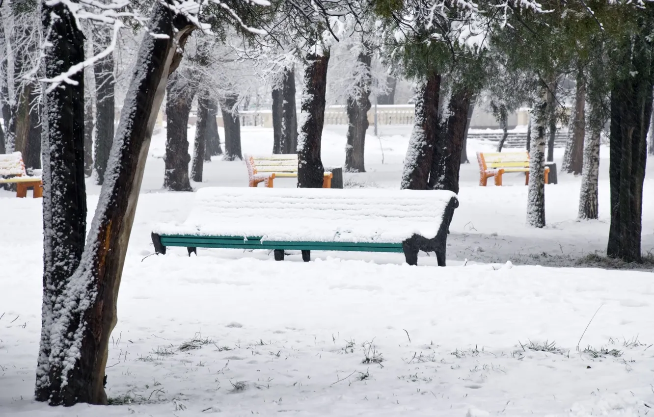 Фото обои зима, снег, деревья, парк, разноцветные, скамейки, Snow park