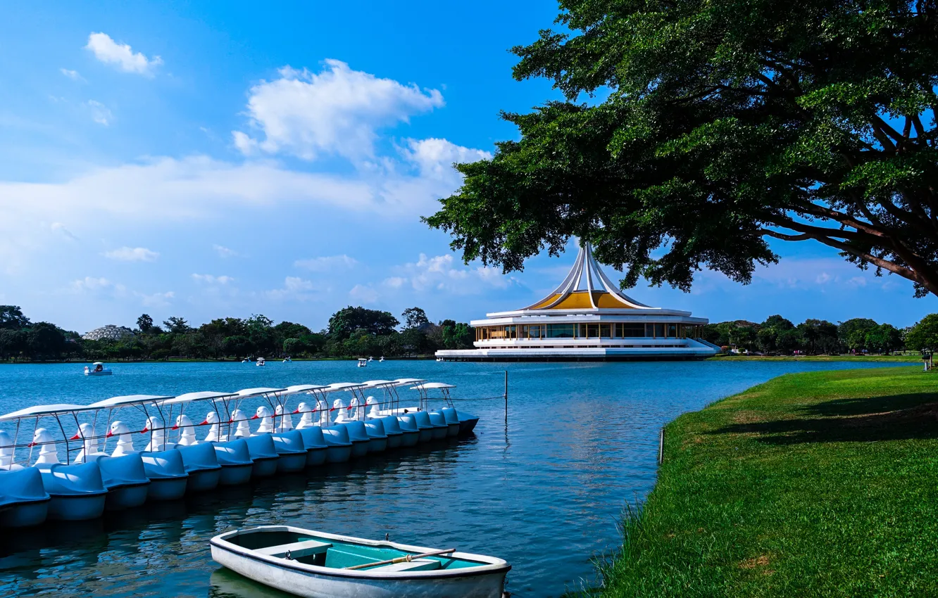 Фото обои зелень, небо, трава, облака, деревья, ветки, пруд, парк