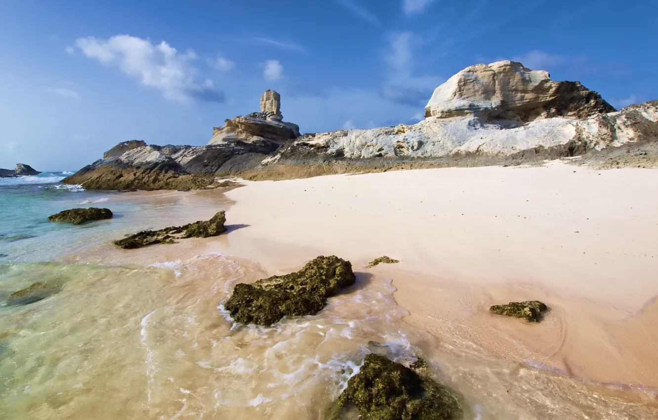 Фото обои песок, море, облака, водоросли, камни, скалы, берег