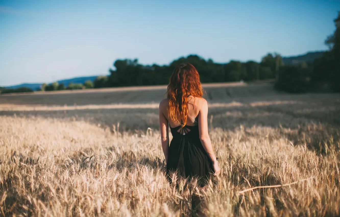 Фото обои поле, колосья, спиной, рыжеволосая девушка