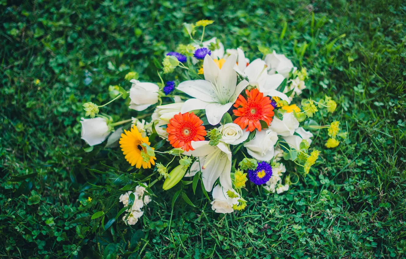 Фото обои трава, цветы, лилии, букет, герберы