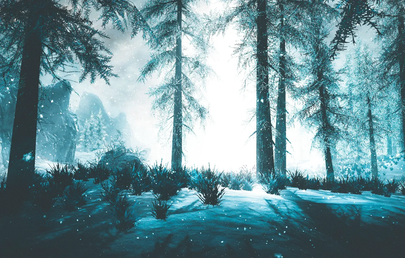 Фото обои зима, снег, ели, Skyrim, by WatchTheSkiies