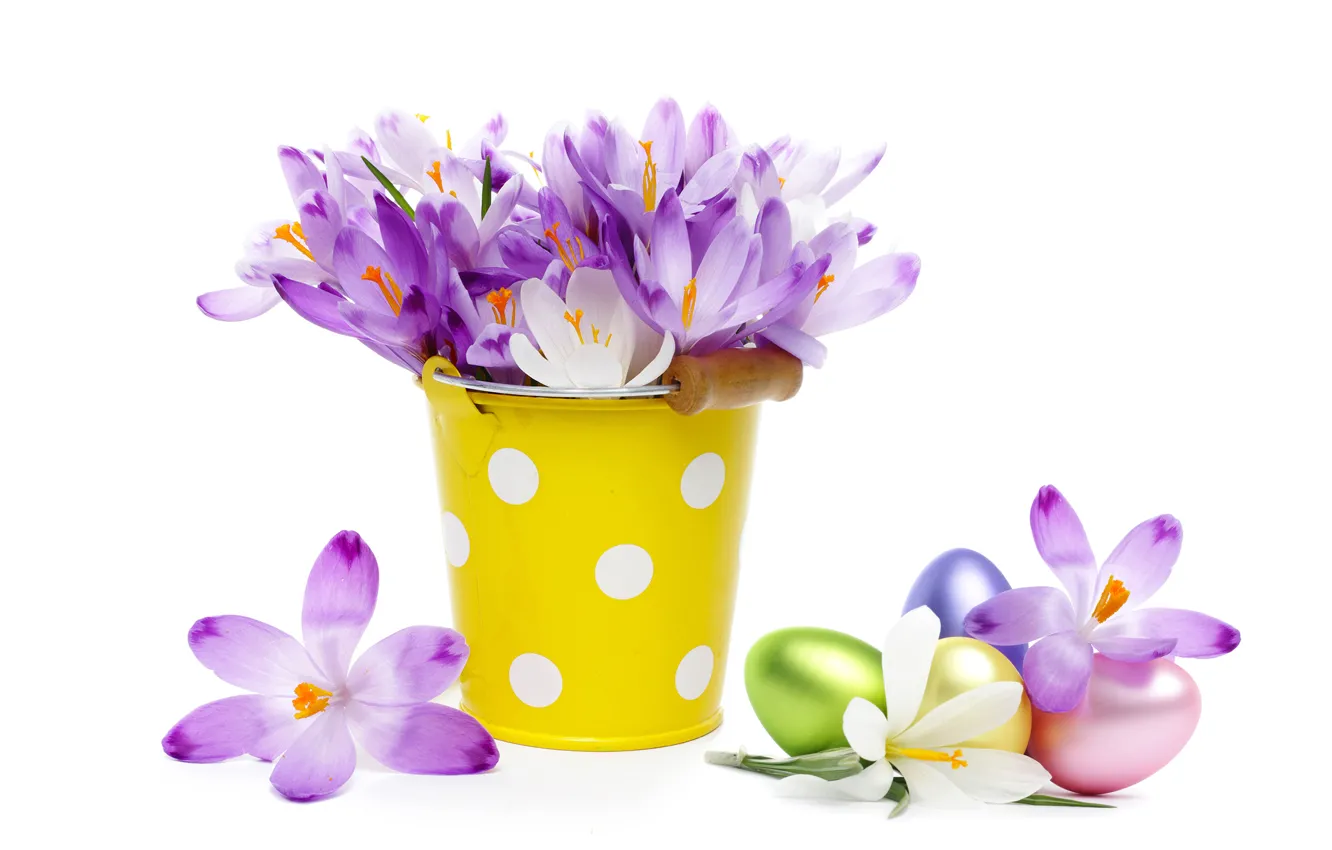 Фото обои яйца, букет, крокусы, ведро, flowers, spring, eggs, easter