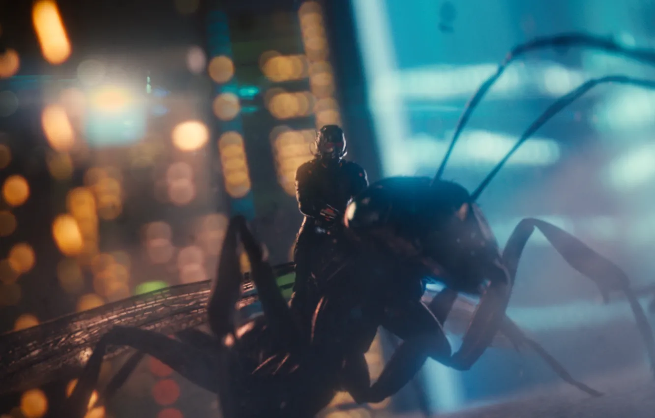 Фото обои City, Action, Fantasy, Hero, Special, Wallpaper, Beetle, Large