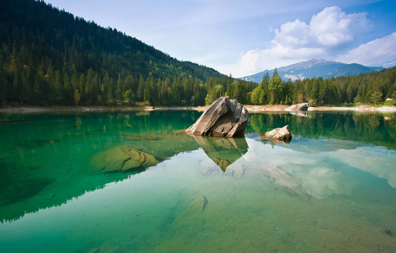 Фото обои лес, вода, горы, скала, отражение, берег, камень, прозрачная