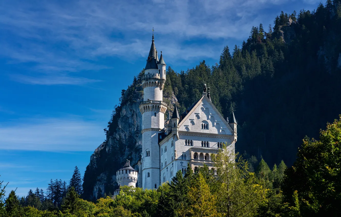 Фото обои лес, скала, замок, Германия, Бавария, Germany, Bavaria, Neuschwanstein Castle