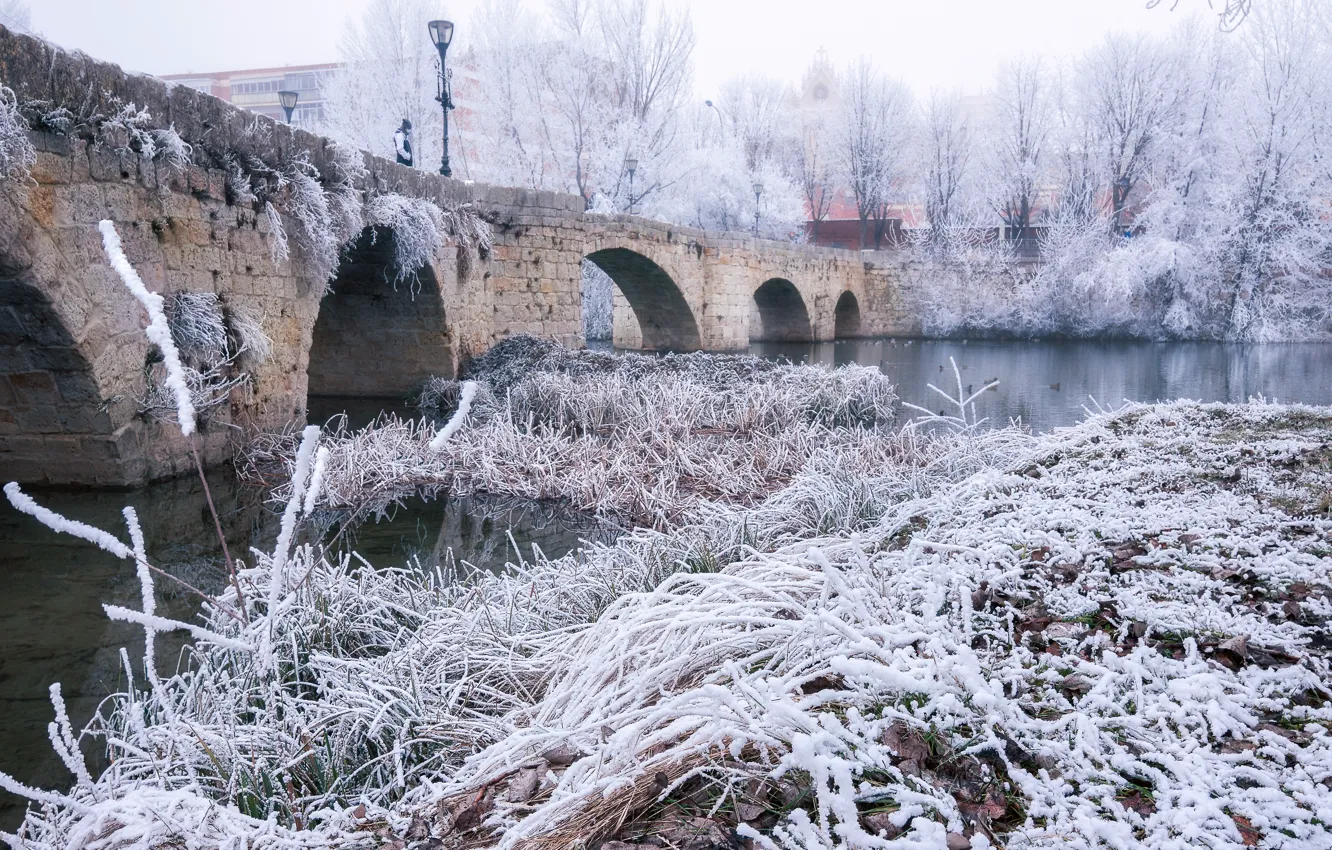 Фото обои зима, город, Castile and León, Palencia