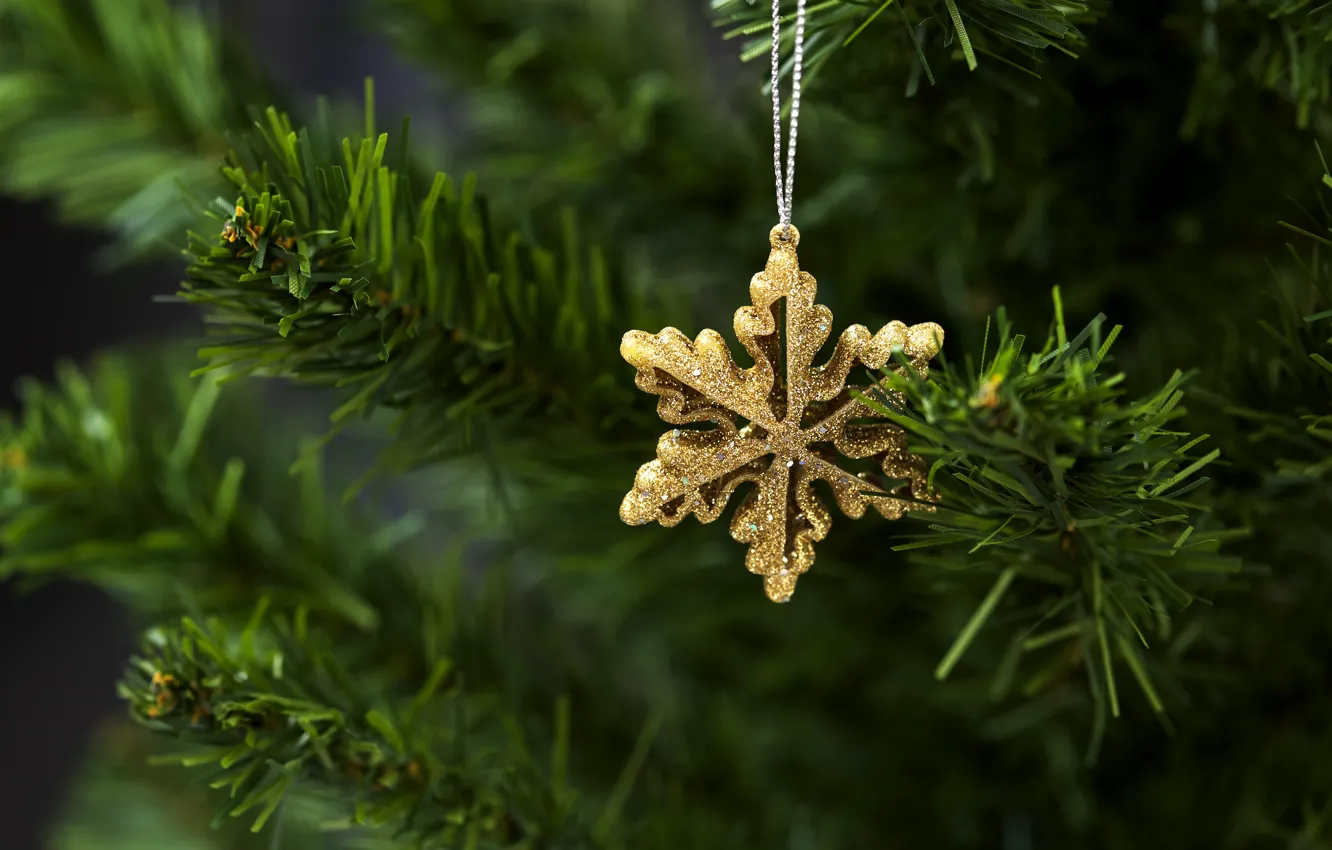 Фото обои украшения, елка, Новый Год, Рождество, Christmas, New Year, decoration, Merry