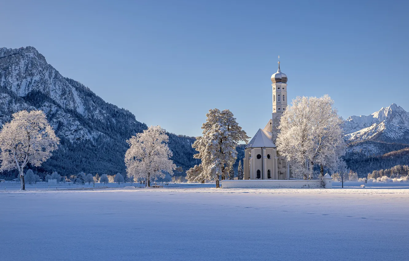 Фото обои зима, иней, поле, свет, снег, деревья, горы, природа