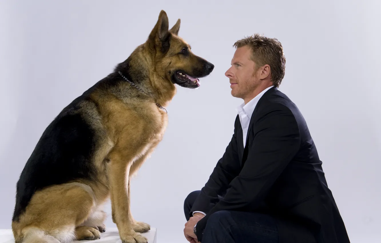 Фото обои собака, дружба, мужчина, комиссар Рекс