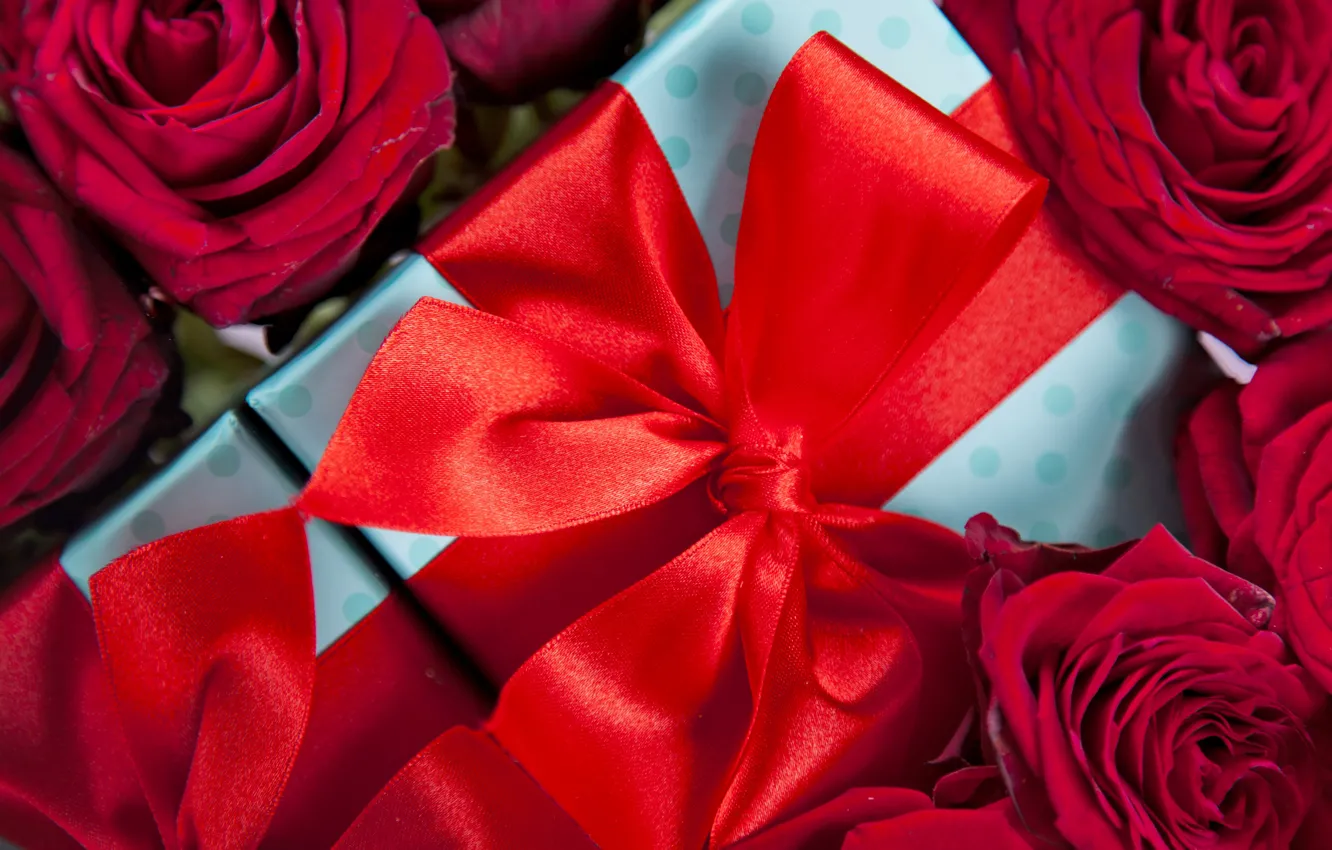 Фото обои red, love, romantic, gift, roses, красные розы, valentine`s day
