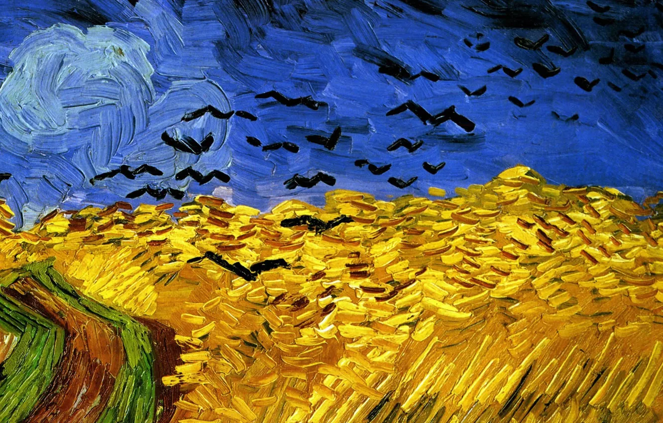 Фото обои дорога, поле, небо, пейзаж, птицы, картина, Винсент Ван Гог