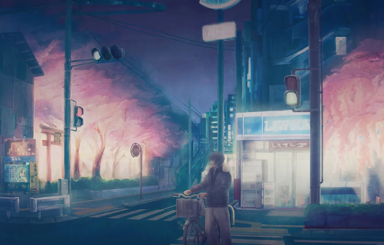 Фото обои деревья, ночь, велосипед, улица, здания, куртка, светофор, перекресток