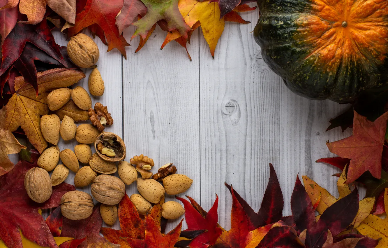 Фото обои осень, листья, доски, текстура, урожай, тыква, орехи, светлый фон