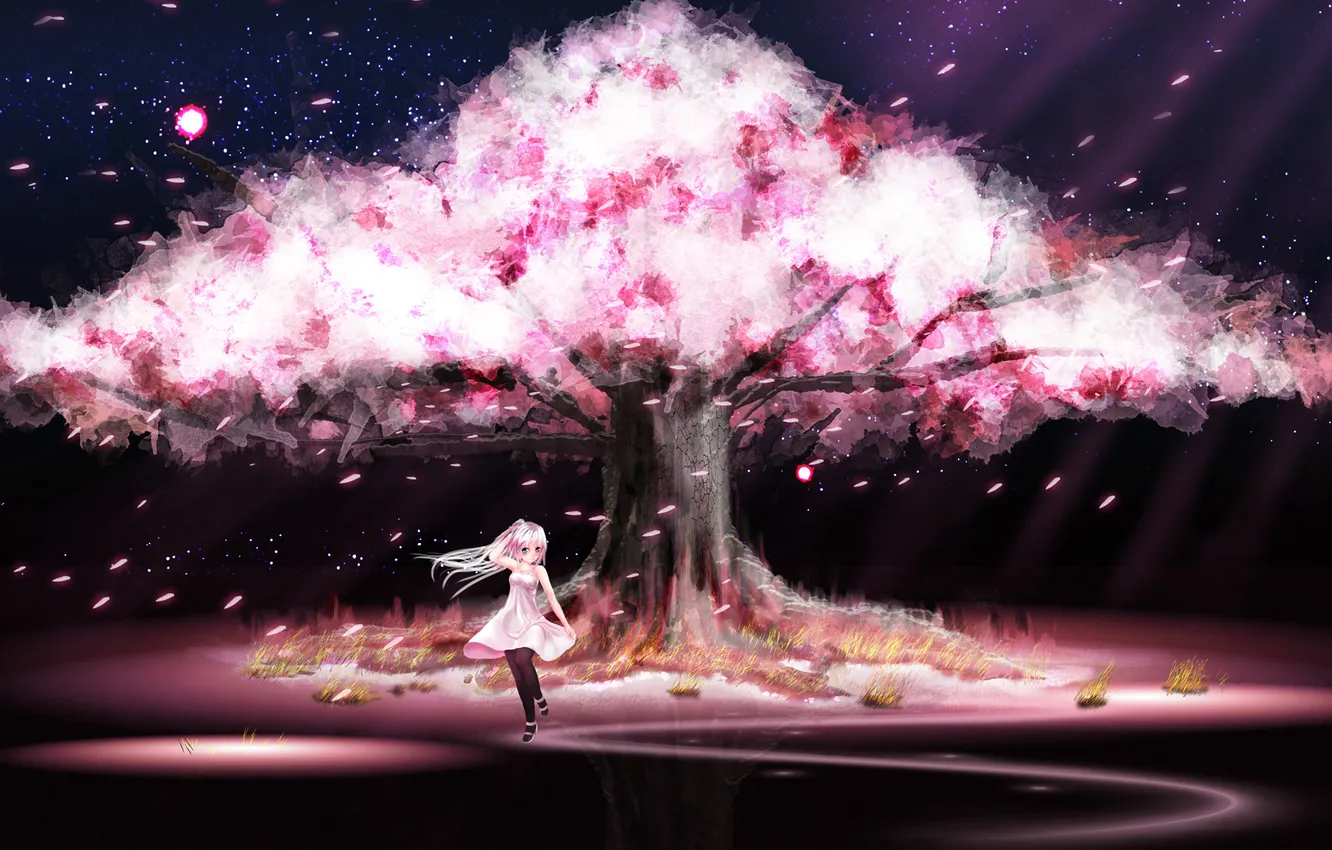 Фото обои небо, девушка, звезды, дерево, ветер, лепестки, сакура, цветение