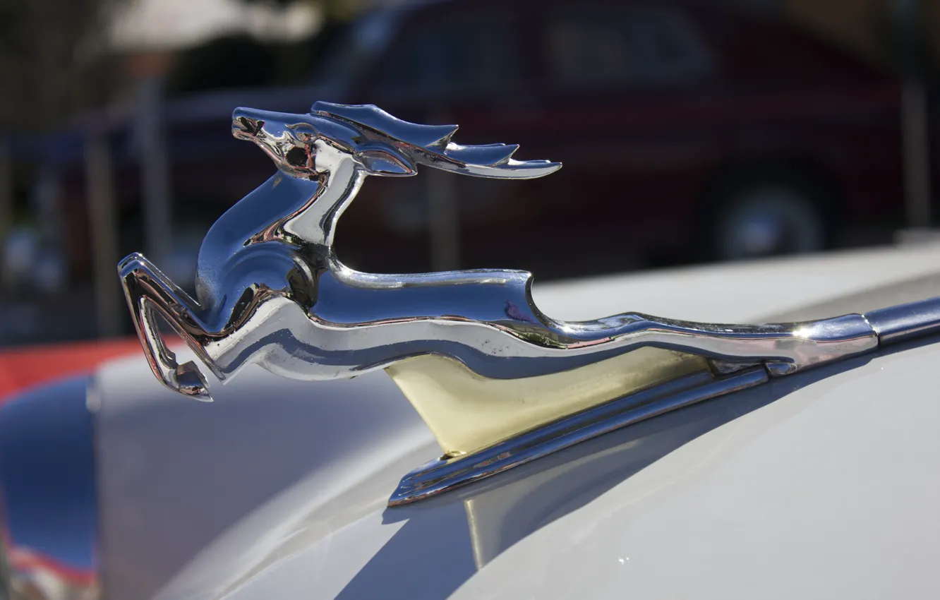 Фото обои победа, фокус, олень, хром