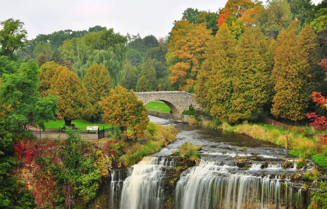 Фото обои осень, деревья, мост, парк, река, водопад