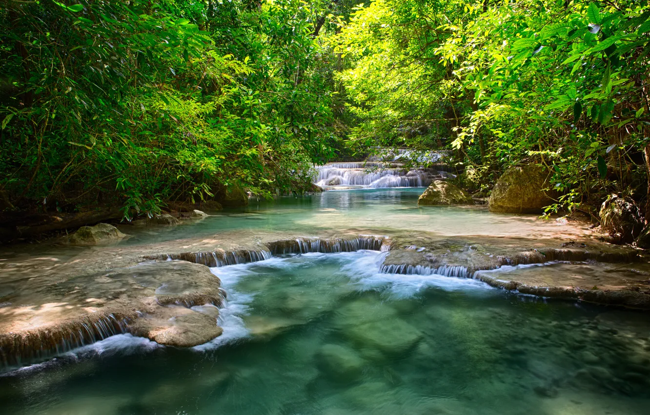 Фото обои зелень, листья, деревья, река, водопады, тайланд