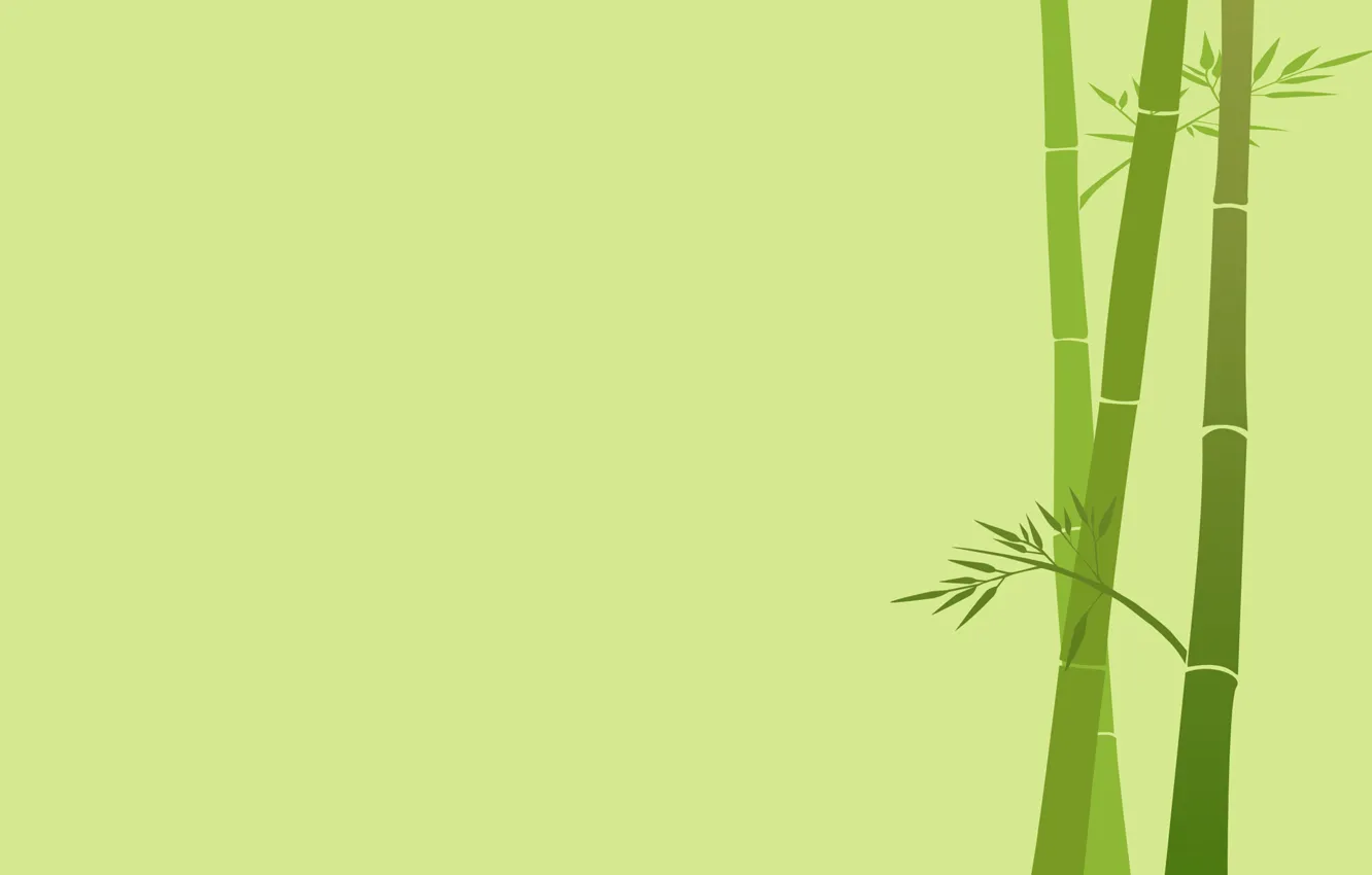 Фото обои листья, ветка, бамбук, стебель