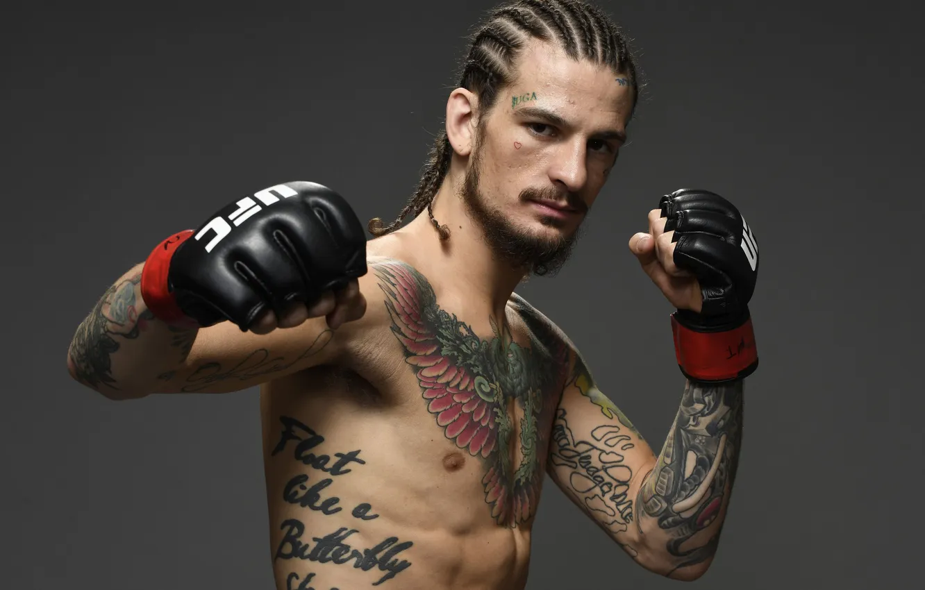 Фото обои боец, татуировки, UFC, Шон О'Мэлли, Sean O'Malley