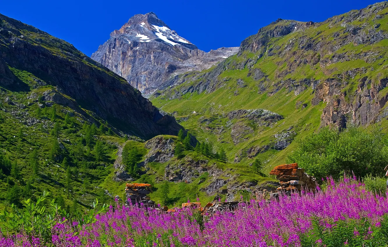 Фото обои небо, цветы, горы, Италия, Валле-д'Аоста