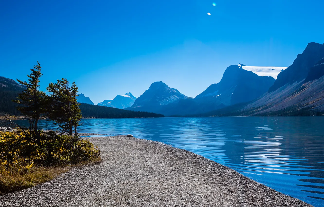 Фото обои деревья, горы, озеро, Канада, Альберта, Bow Lake