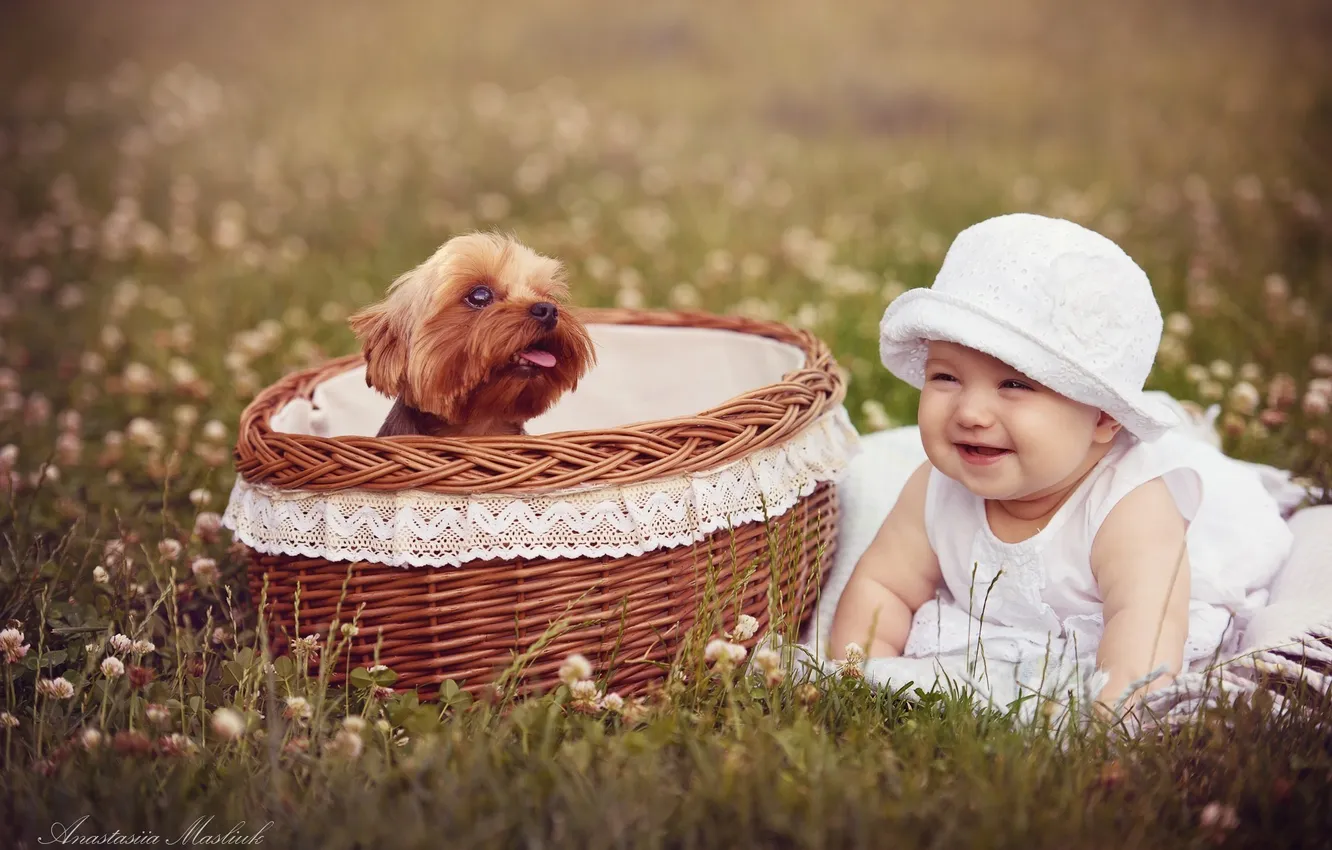 Фото обои корзина, ребенок, собака, девочка, корзинка