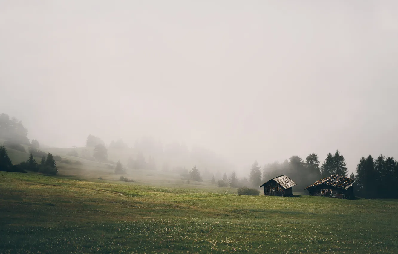 Фото обои природа, туман, дома