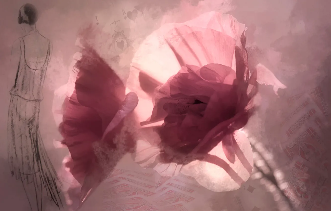 Фото обои цветы, рисунок, карта, силуэт девушки, Пасьянс